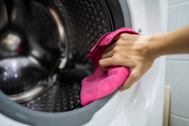 Professional Mold Removal in Birch Bay, WA