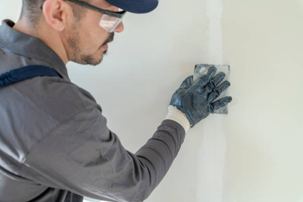 Best Emergency Mold Remediation  in Birch Bay, WA