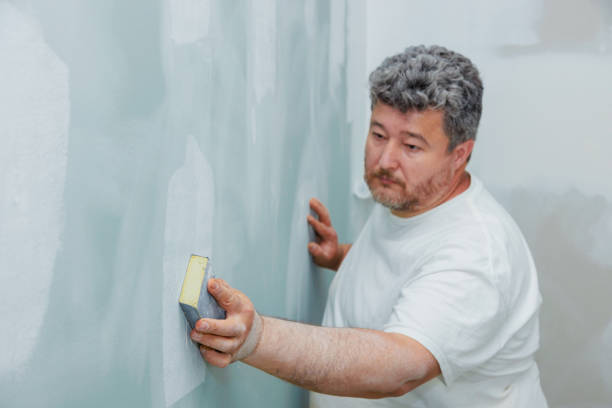 Best Water Damage & Mold Remediation  in Birch Bay, WA