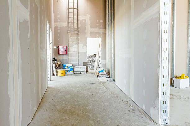Best Mold Odor Removal Services  in Birch Bay, WA