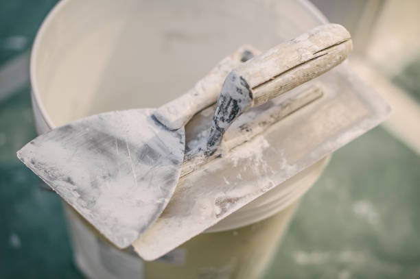 Best Forensic Mold Investigation  in Birch Bay, WA