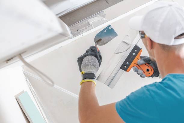 Best Post-Construction Mold Inspection  in Birch Bay, WA